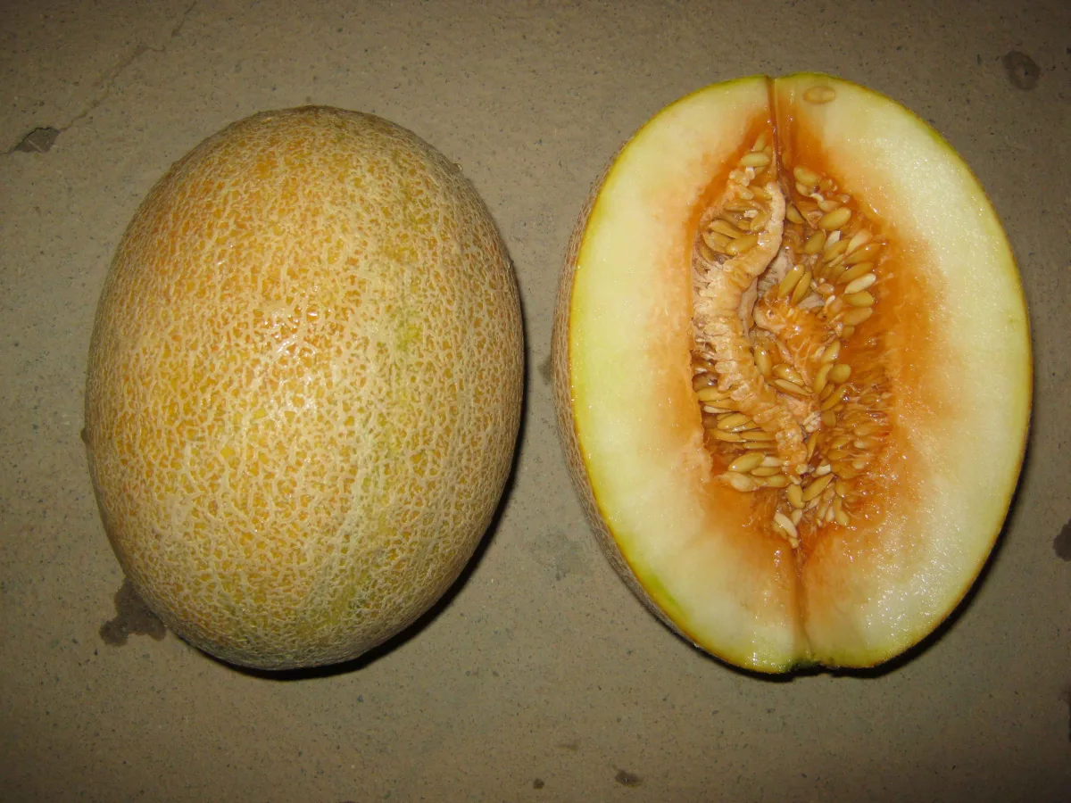 Aangesneden fruit bewaren: hoe lang blijft het vers