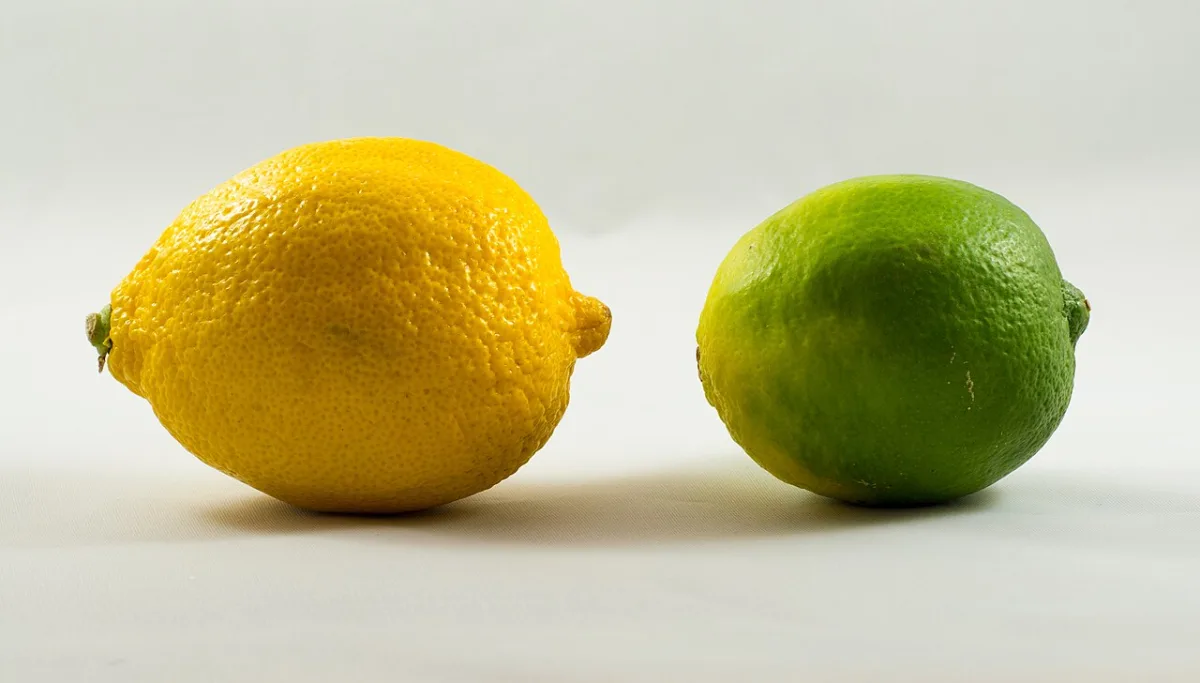 Is fruit slecht voor het gebit en de tanden?