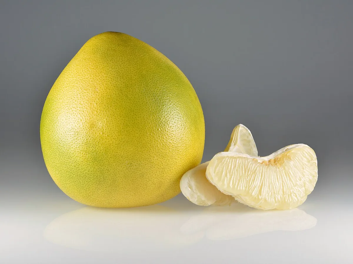 Het verschil tussen pomelo en grapefruit